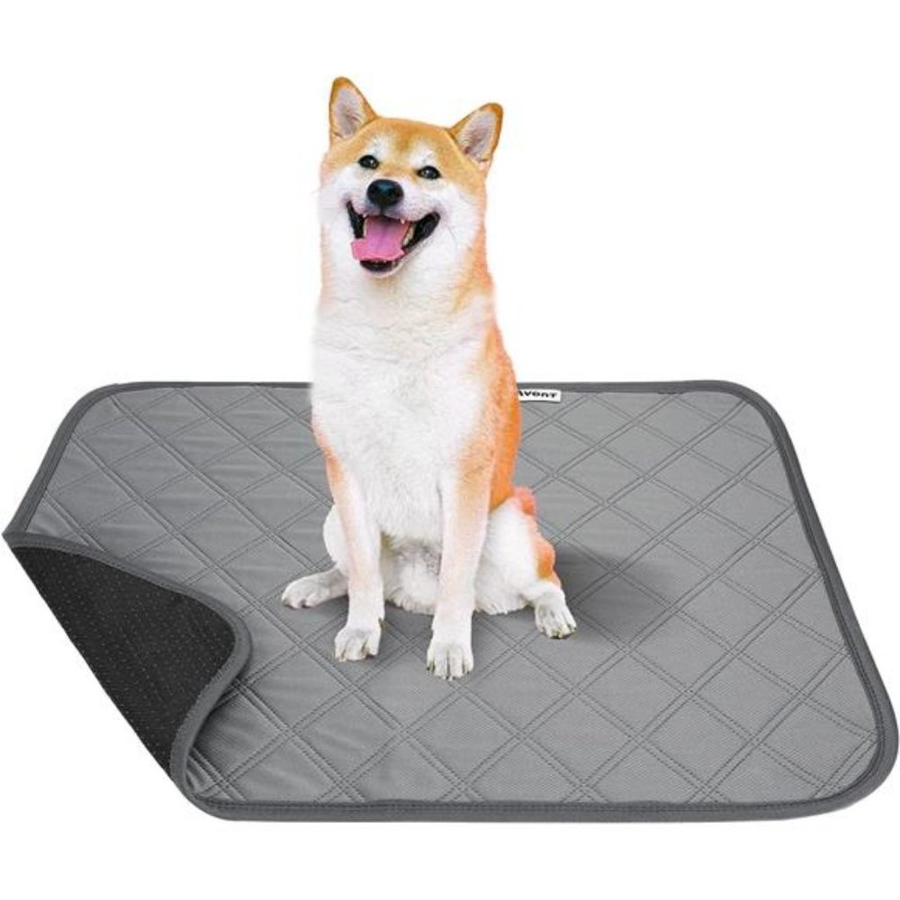 2 Pack Reusable Puppy Pee Pad with Waterproof Bottom, Non Slip Dog Training Pads